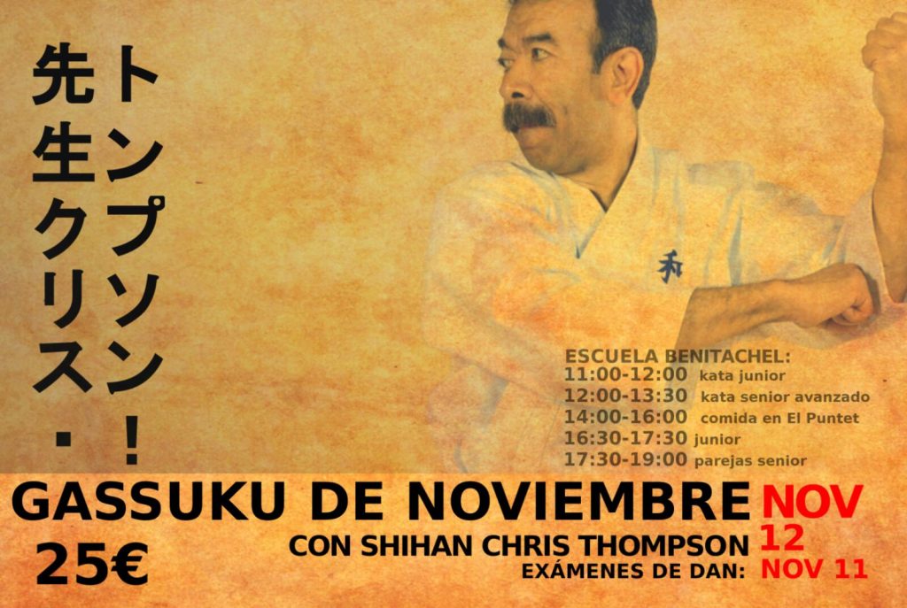 curso de karate noviember 2016