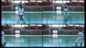 Ipponme Kata