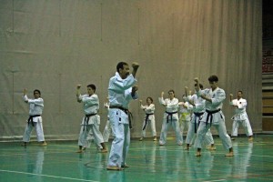 Curso de Sensei Chris Thompson en el Polideportivo de Jávea, 28 y 29 de noviembre de 2014