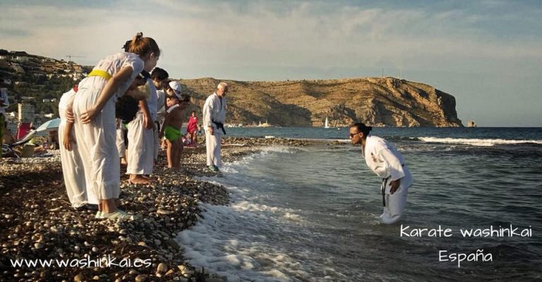 Aniversario de 20 años en Karate Washinkai España