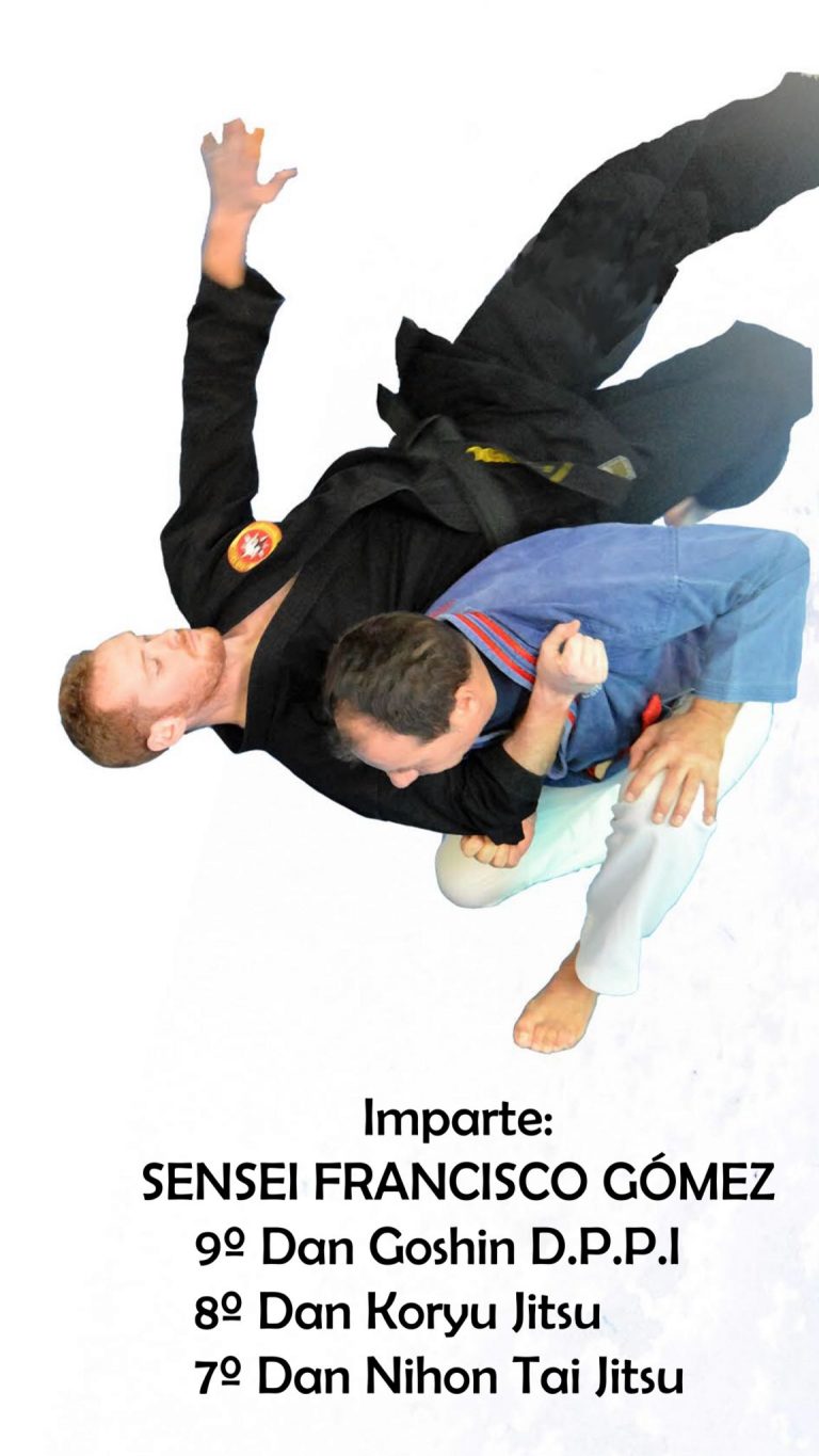 Curso Defensa Personal Con Sensei Francisco Gómez
